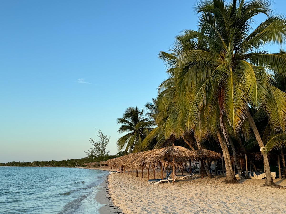 Caribe